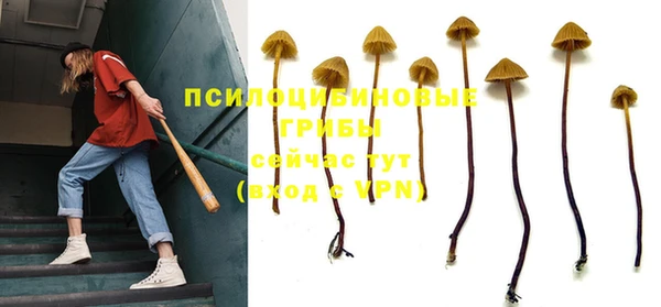 герыч Аркадак