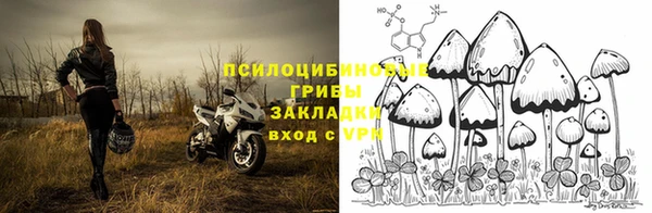 герыч Аркадак