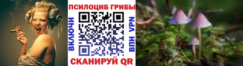 OMG как зайти  Приволжск  Псилоцибиновые грибы мухоморы  где можно купить  